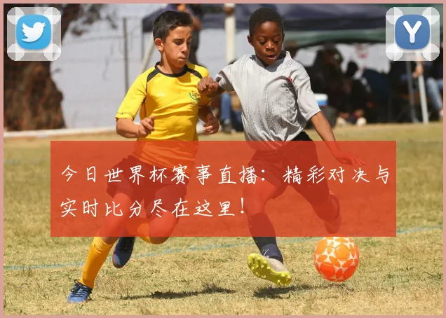 今日世界杯赛事直播:精彩对决与实时比分尽在这里!